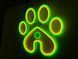 Неоновая вывеска Лапа Neon8мм 500x500 Комбинированный ЛАП-500x500-КОМ фото 2